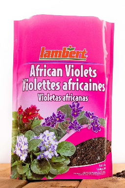 4.4L African Violet Mix