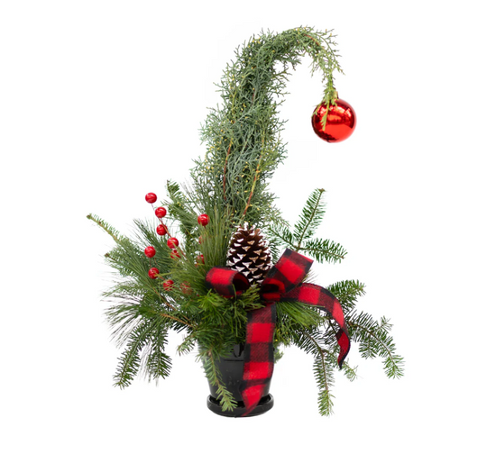 Mini Grinch Tree - Tecumseh Vista Academy Elementary