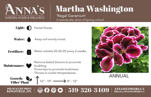 6" Martha Washington Geranium  - Canadian Mental Health Association