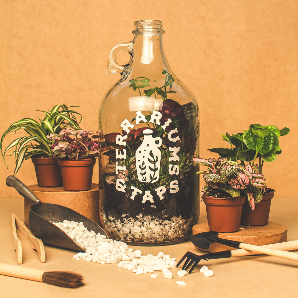 Terrariums & Taps @ The Grove Brewing Co. (Friday, May 30th @ 6 PM)