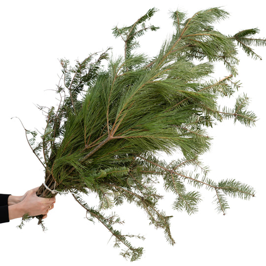 Ontario Mixed Greens Bundle