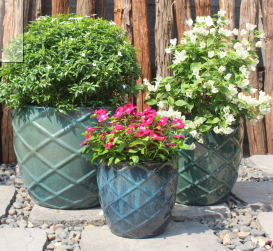 15.75 x 14.25 Alladin Egg Planter - Jade