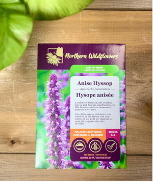 Northern Wildflowers Anise Hyssop- Seed Pack 100  Count