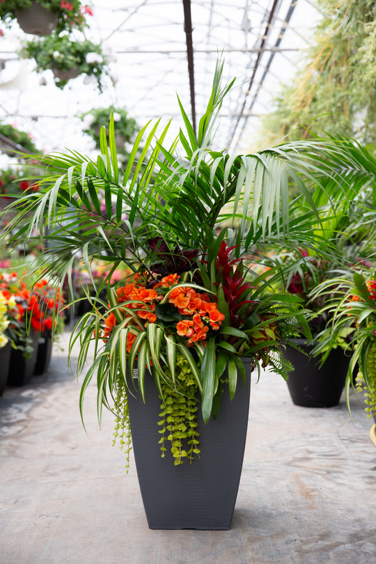 14" Helix Square Majesty Patio Pot - Partial Sun/Shade (Multiple Colours)
