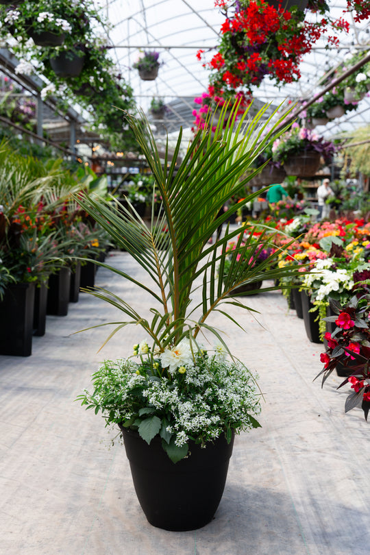 14” Hendrix Round Spindle Dahlia Planter