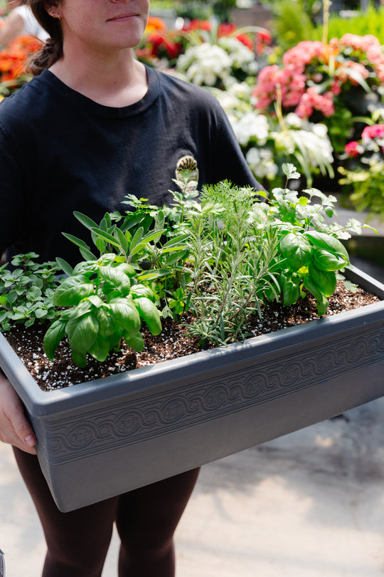 24" Window Box Herb Planter