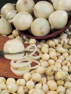 Snowball Onion Bulbs