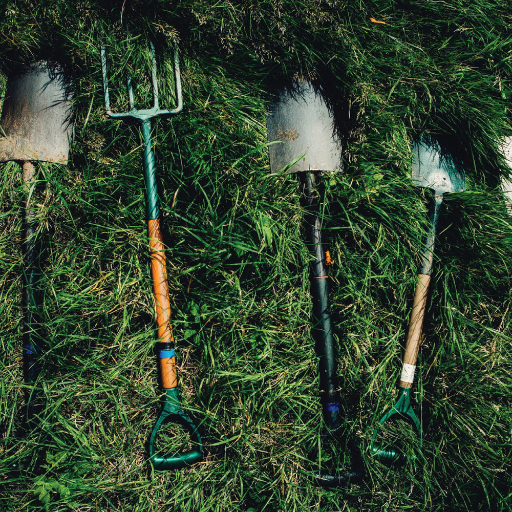 Garden Masters Barb & Bob Morden | Putting Your Garden To Bed Workshop (Sat., Oct. 14 @ 11AM)