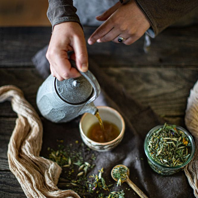 Alley + Dane | Herbal Allies for Allergy Season (Sun., Mar. 16 @ 10:30 AM)