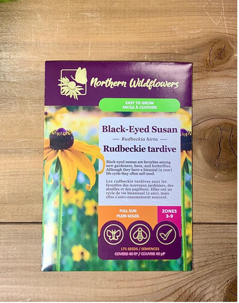 Northern Wildflowers Black-Eyed Susan- - Seed Pack 175  Count