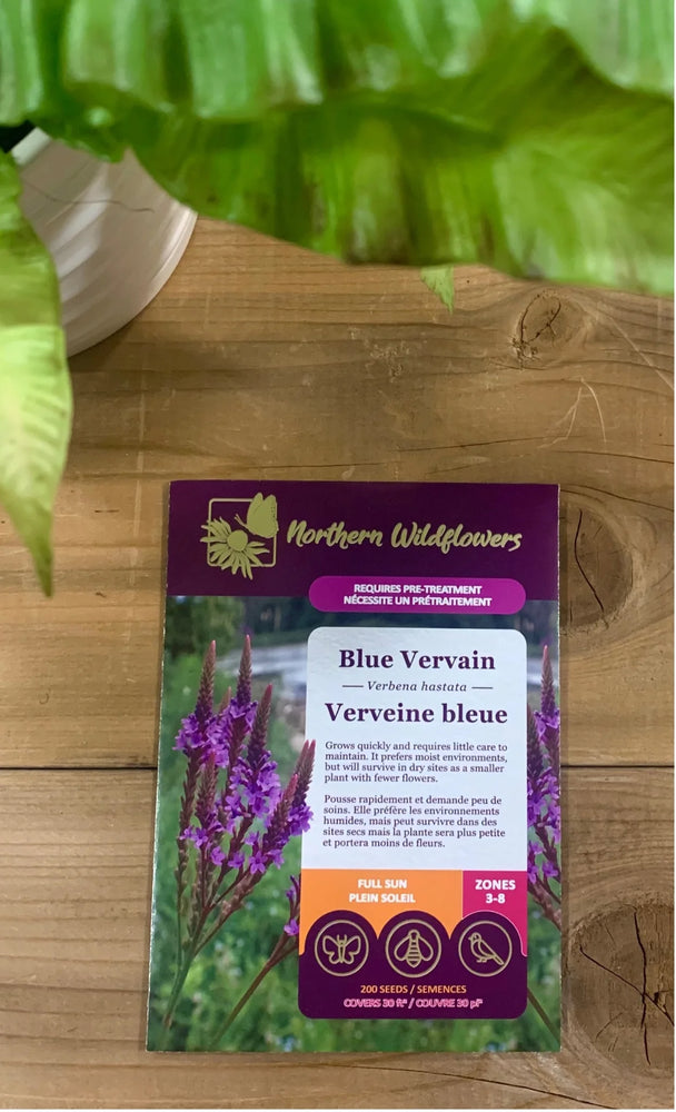 Northern Wildflowers Blue Vervain- Seed Pack 200  Count