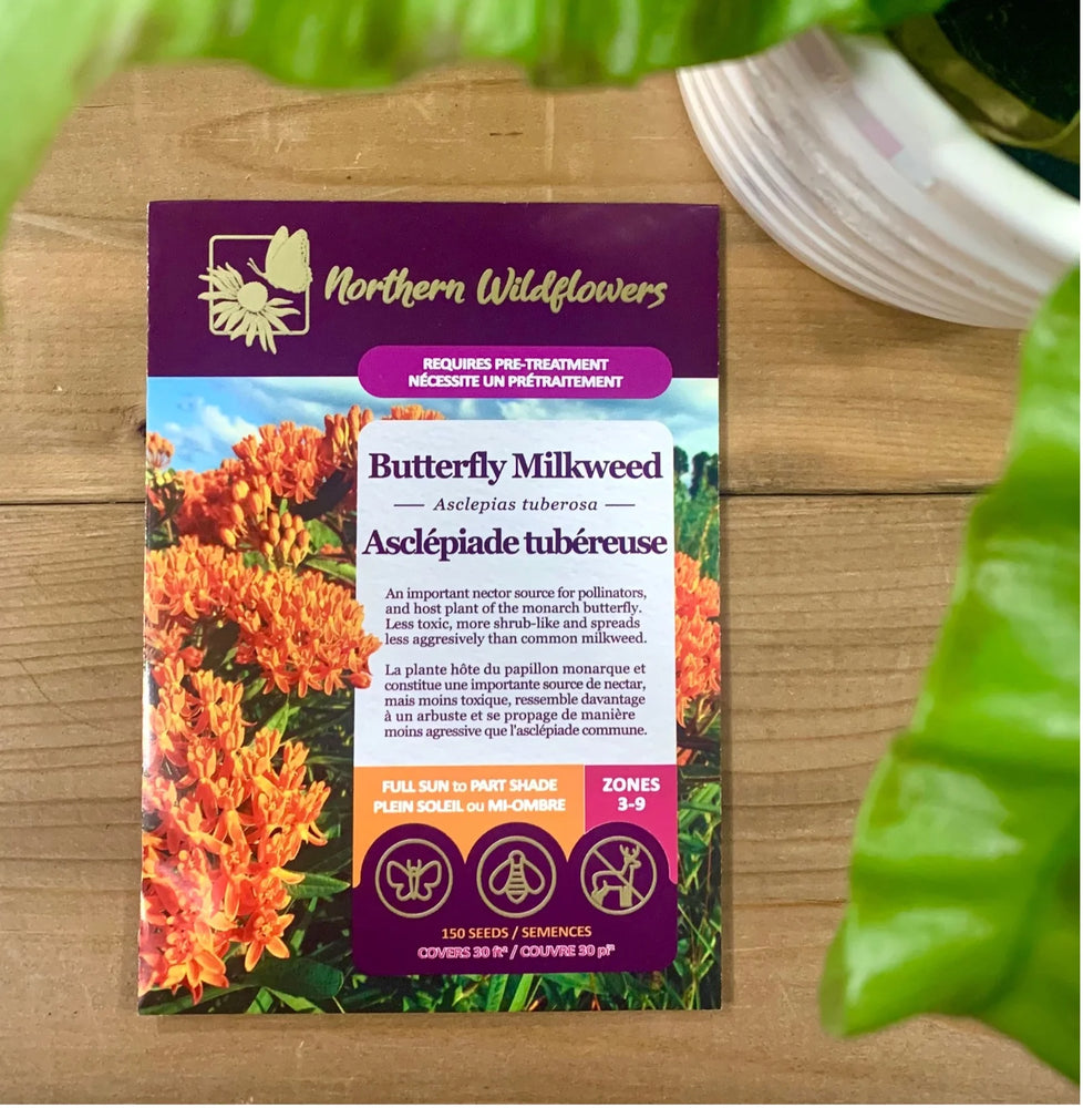 Northern Wildflowers Butterfly Milkweed- Seed Pack 150  Count