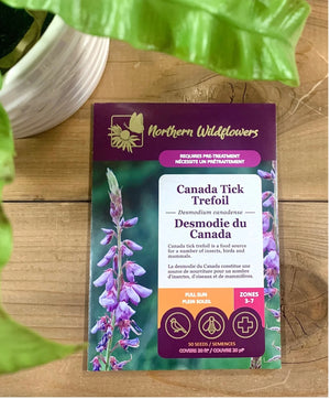 Northern Wildflowers Canada Tick Trefoil- Seed Pack 50  Count
