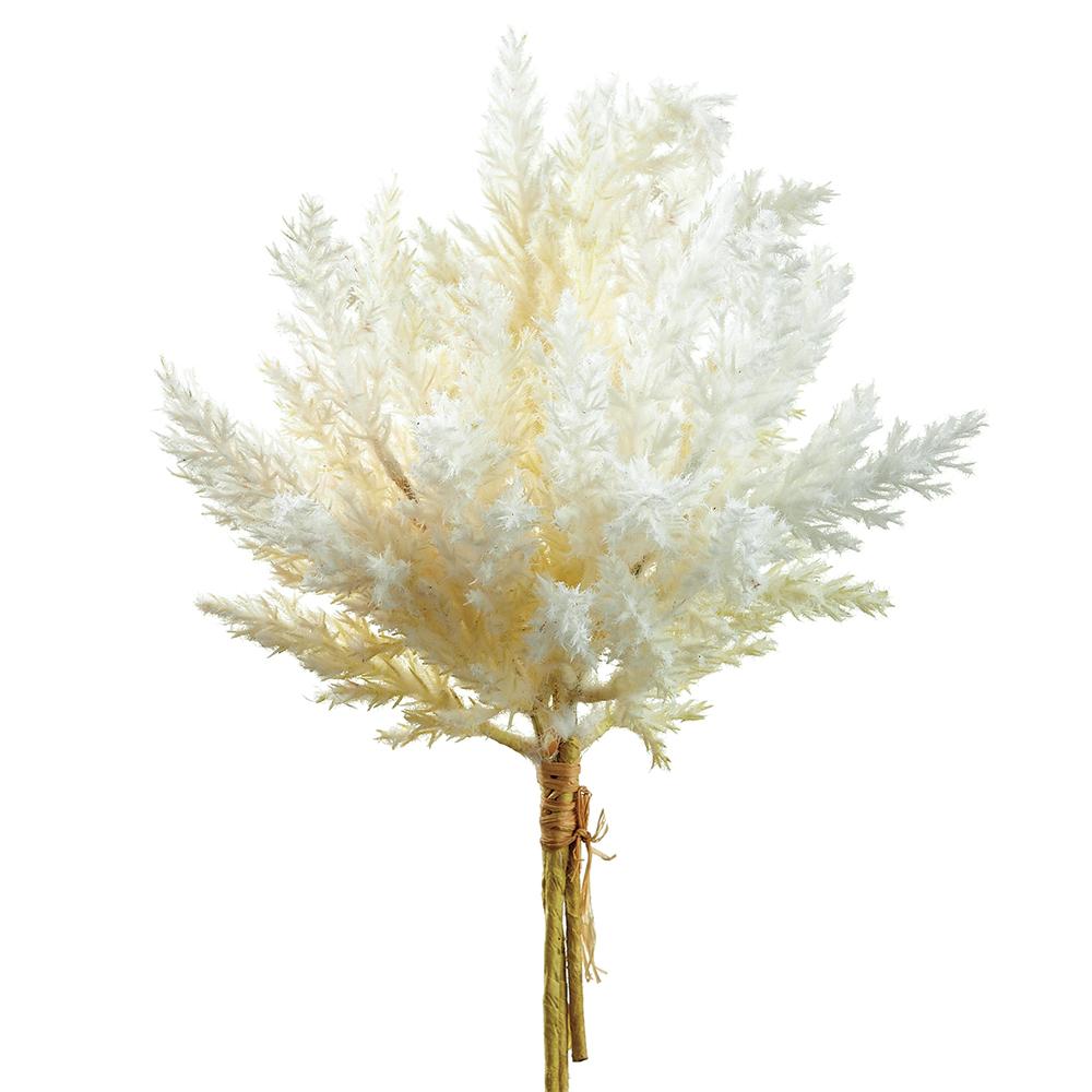 14" Pampas Grass Ivory Bundle x3 - Florals and Foliage