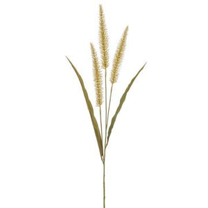 36" Foxtail Grass Spray ( Beige ) - Florals and Foliage
