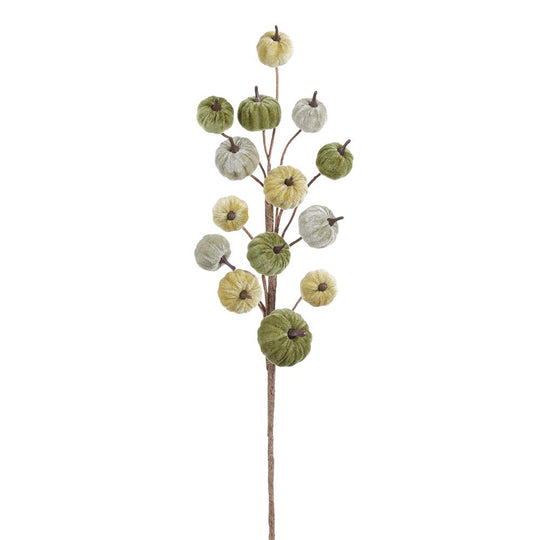 30" Velvet Pumpkin Spray  Green Two Tone