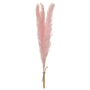 13.7" Preserved Pampas Grass Bundle ( Pink ) - Florals and Foliage