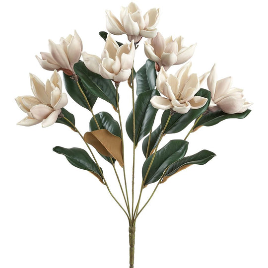 23" Magnolia Bush (Beige)