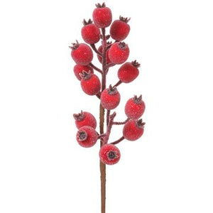 13" Rosehip Spray Red