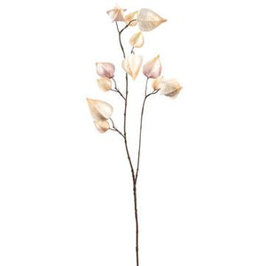39" Physalis Spray ( Cream ) - Florals and Foliage