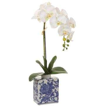 22" Phalaenopsis Orchid Plant In Ceramic Vase ( Cream ) - Florals & Foliage