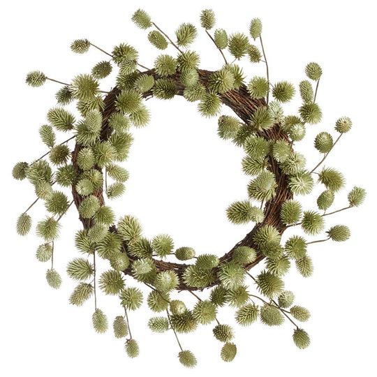 19.7" Preserved Thistle Wreath Green