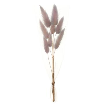 9" Preserved Foxtail Grass Bundle ( Lavender ) - Florals and Foliage