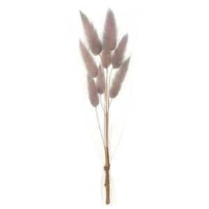 9" Preserved Foxtail Grass Bundle ( Lavender ) - Florals and Foliage