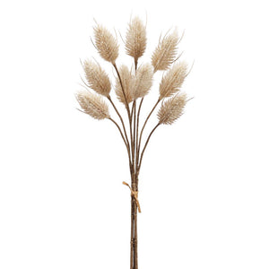 14" Hare's Tail Bundle x3 ( Beige )- Florals And Foliage