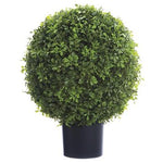 22"Boxwood Ball Topiary In Green Nursery Pot - Florals and Foliage