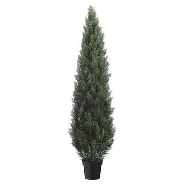 72" Cedar Topiary in Plastic Pot