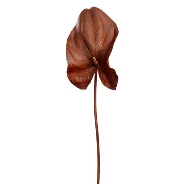 34.25" Metallic Anthurium Spray Brown Gold - Florals and Foliage