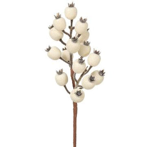 13" Rosehip Spray White