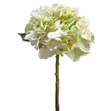 13" Hydrangea Spray ( Green / Cream ) - Florals and Foliage
