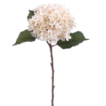 20.5" Hydrangea Spray ( Beige ) - Florals and Foliage