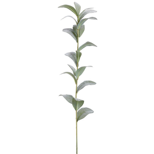 30.5"ruscus Hypophyllum Spray (Green Gray)