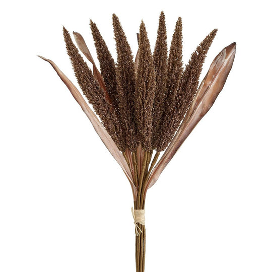 17" Foxtail Bundle x7 ( Brown )  - Florals and Foliage