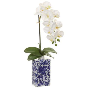 26" Phalaenopsis Orchid Plant In Ceramic Vase ( Cream ) - Florals & Foliage