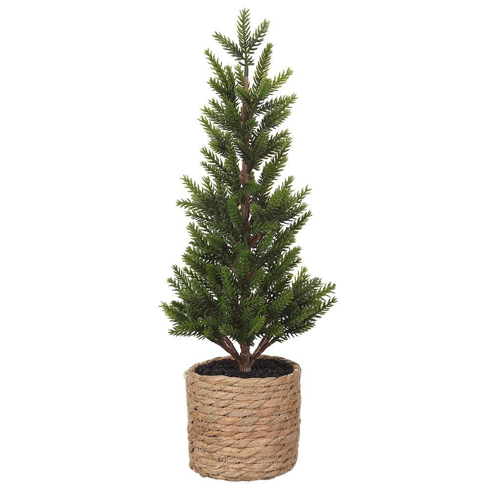 17" Pine Tree in Basket - Florals and Foliage