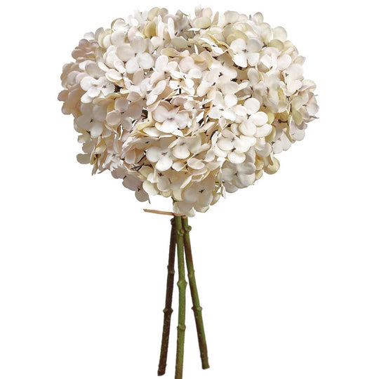 12" Hydrangea Bundle (Taupe) - Florals and Foliage