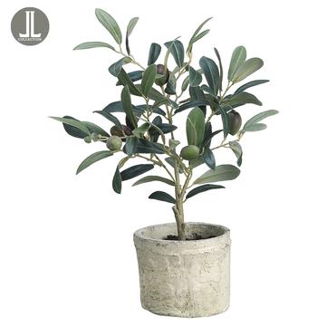 
            
                Load image into Gallery viewer, 12&amp;quot; Olive Tree In Clay Pot - Florals and Foliage
            
        