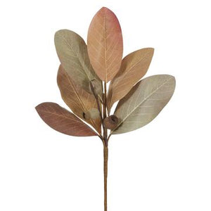 16" Magnolia Leaf/Pod Spray Green Brown - Florals and Foliage