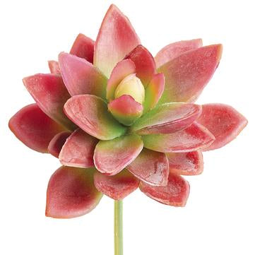 5" Soft Touch Mini Agave Pick ( Red /Green )