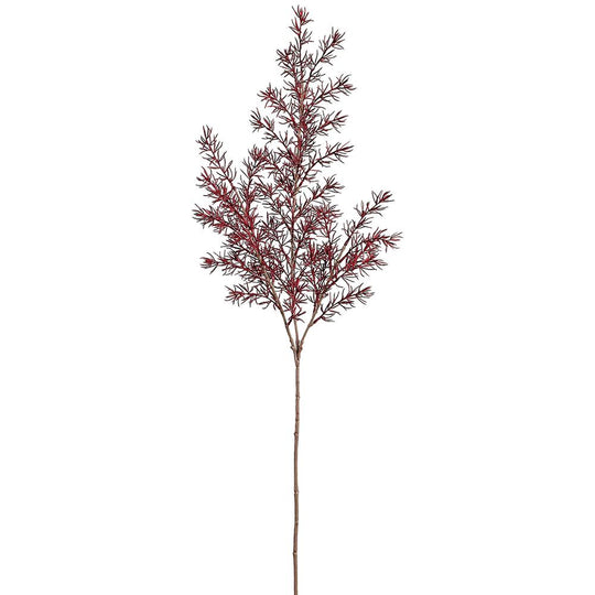 34" Asparagus Fern Spray ( Burgundy ) - Florals and Foliage