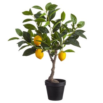 
            
                Load image into Gallery viewer, 23.5&amp;quot; Lemon Tree In Plastic Pot - Florals and Foliage
            
        