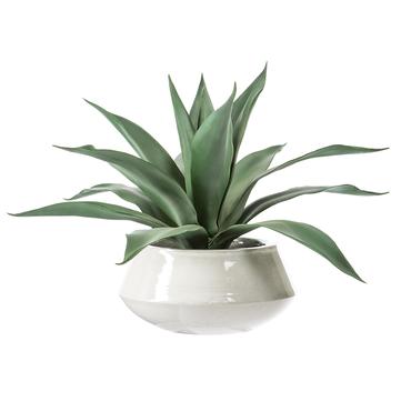 20.5" Agave In Pot - Florals and Foliage