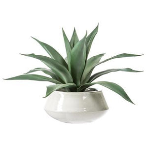 20.5" Agave In Pot - Florals and Foliage