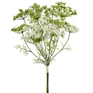 19.5" Queen Anne's Lace Bundle ( Cream/Green ) - Florals & Foliage