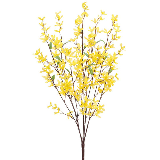 25"Forsythia Pick
