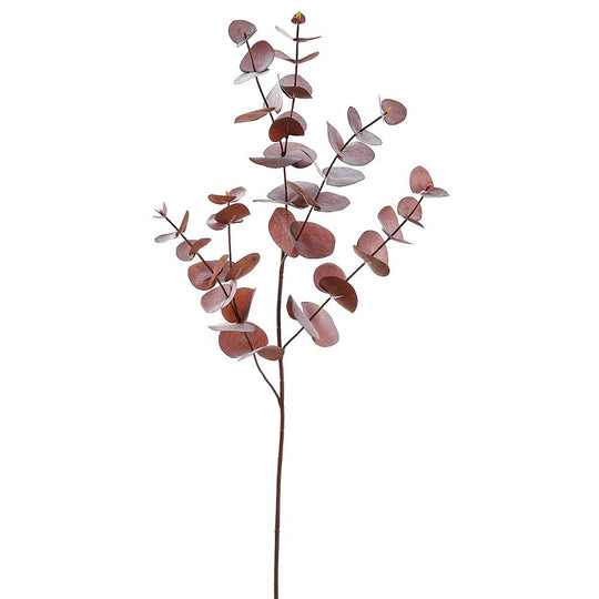 34" Eucalyptus Leaf Spray Brown